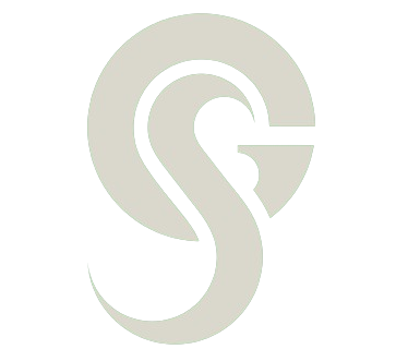 Logo del portfolio realizzato su Illustrator